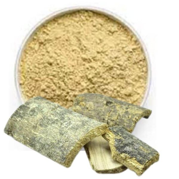 Varun Saal Powder