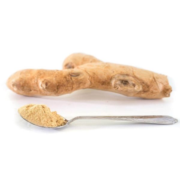 Wild Ginger Powder
